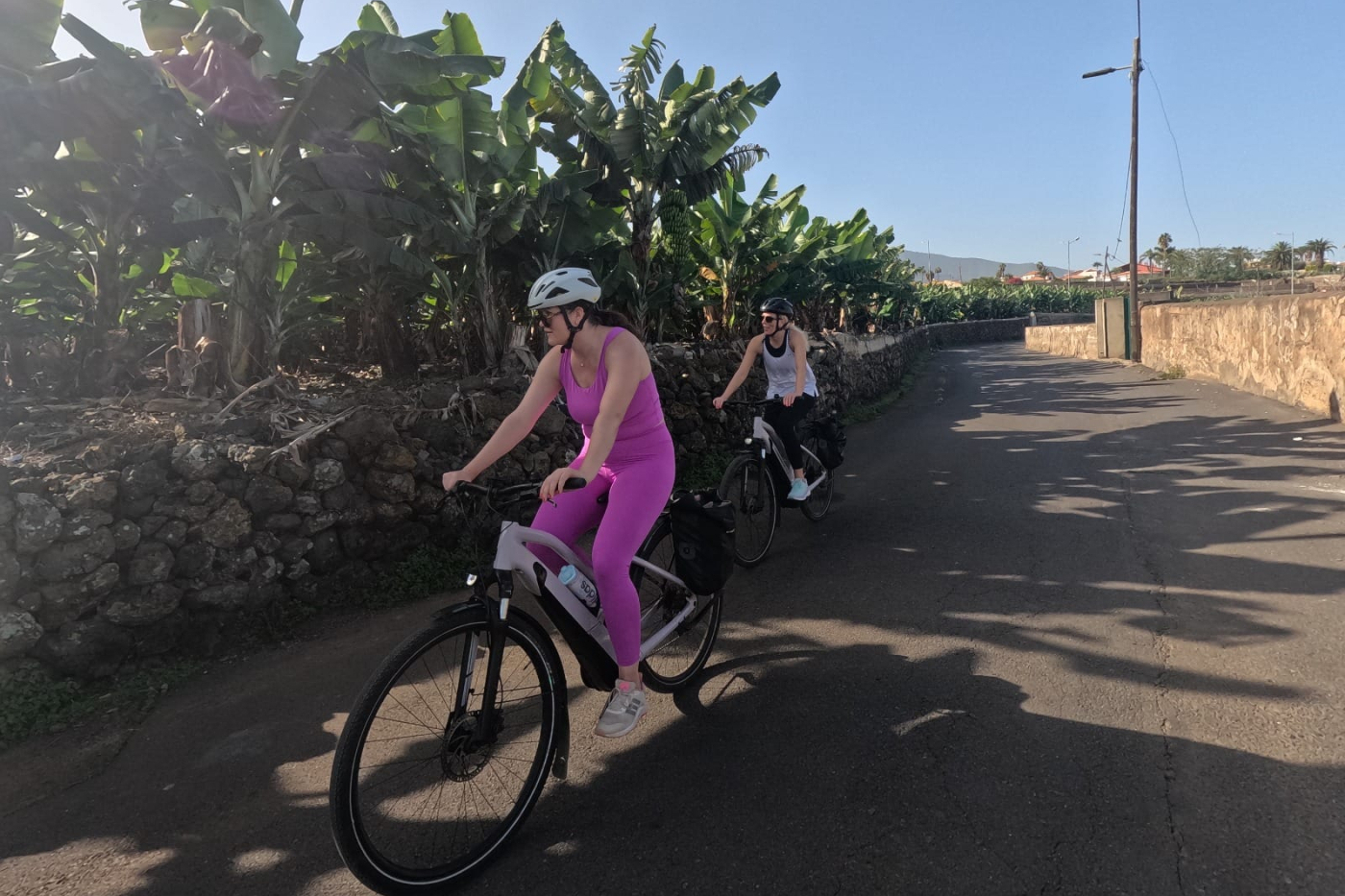 Private Bike Trip