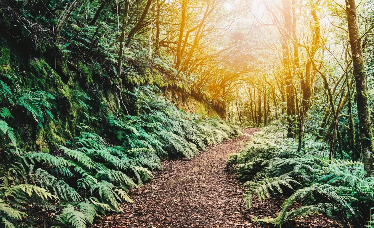 Knowing How Stress Affects Longevity and How to Handle It