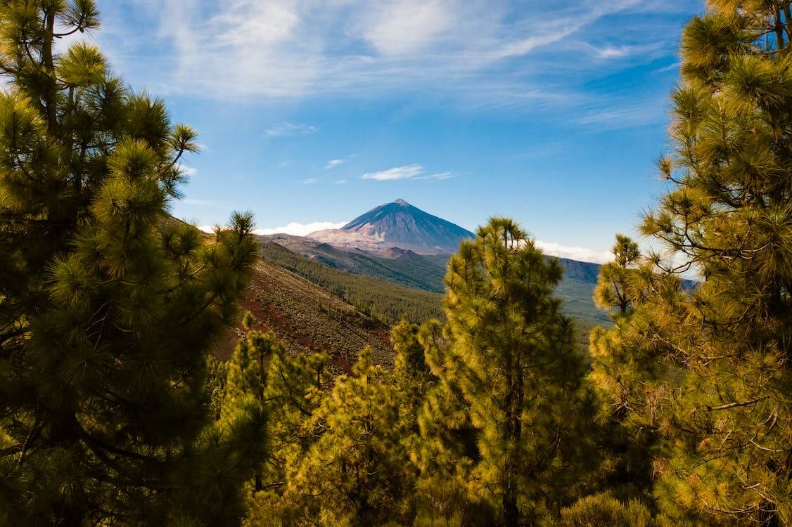 Tenerife: More Than a Destination— A New Perspective on Well-Being